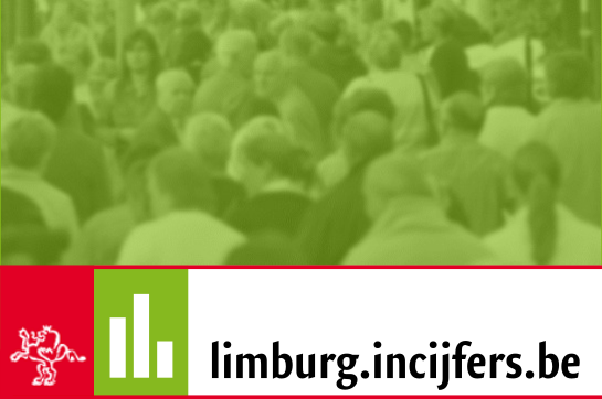 online platform Limburg in cijfers